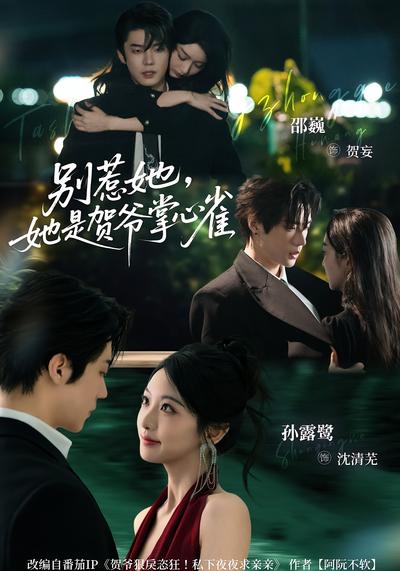 别惹她，她是贺爷掌心雀}