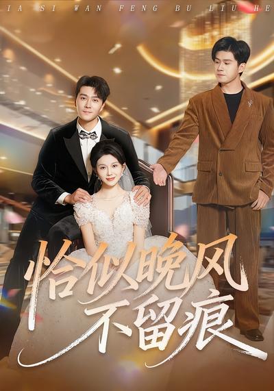 恰似晚风不留痕}