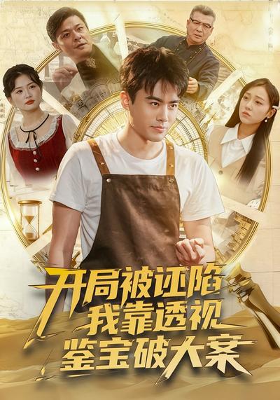 开局被诬陷，我靠透视鉴宝破大案}