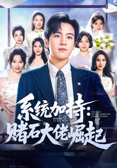 系统加持：赌石大佬崛起}