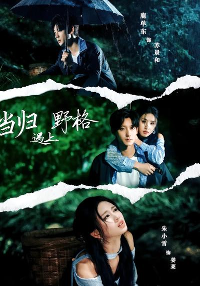 当归遇上野格}