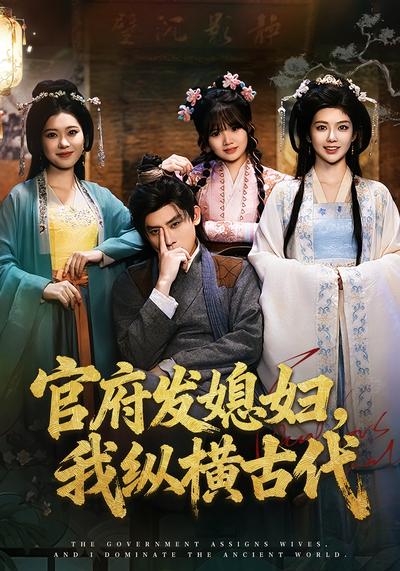 官府发媳妇，我纵横古代}