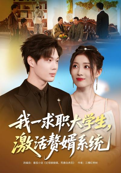 我一求职大学生，激活赘婿系统}