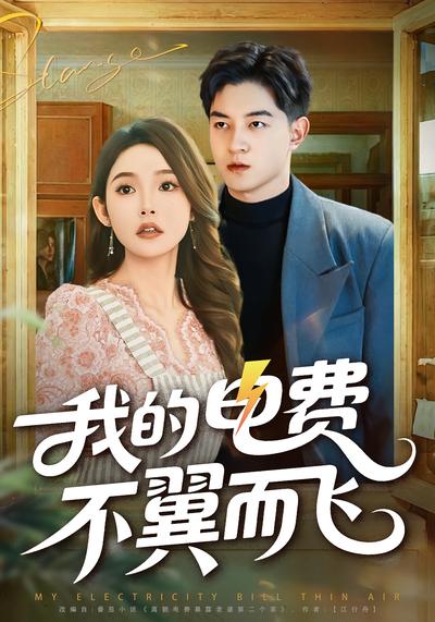 我的电费不翼而飞}