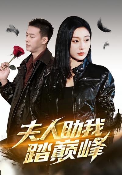 夫人助我踏巅峰}