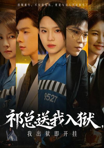 祁总送我入狱，我出狱即开挂}