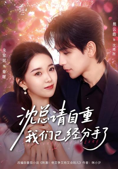 沈总请自重我们已经分手了}