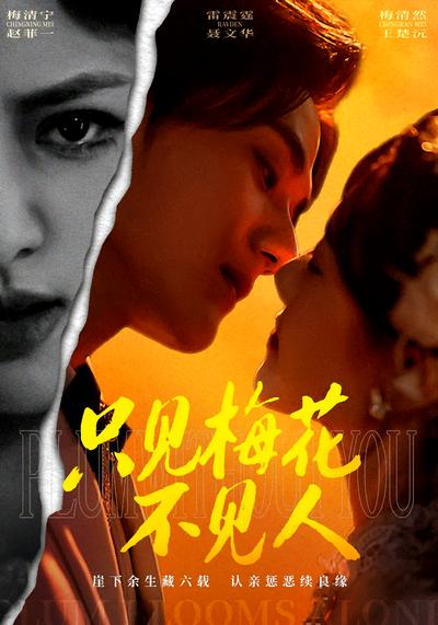 只见梅花不见人}