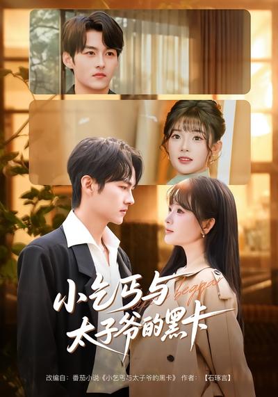 小乞丐与太子爷的黑卡}