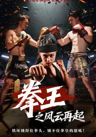 拳王之风云再起}