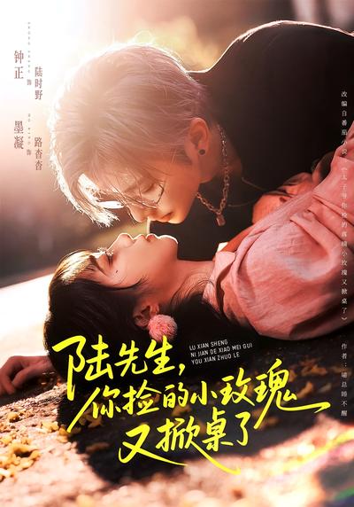 陆先生，你捡的小玫瑰又掀桌了}