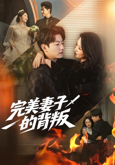完美妻子的背叛}