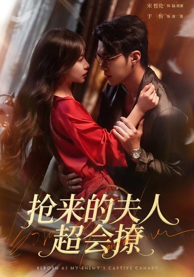 抢来的夫人超会撩}