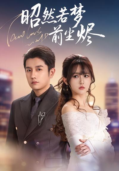 昭然若梦前尘烬}