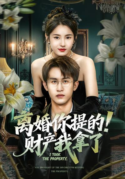 离婚你提的！财产我拿了}