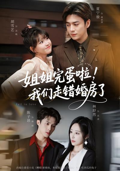 姐姐完蛋啦，我们走错婚房了}