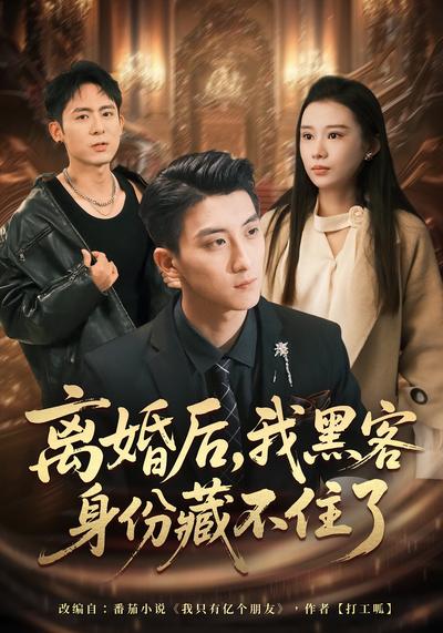 离婚后，我黑客身份藏不住了}