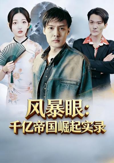 风暴眼：千亿帝国崛起实录}