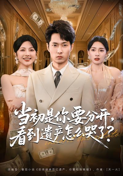 当初是你要分开，看到遗产怎么哭了？}