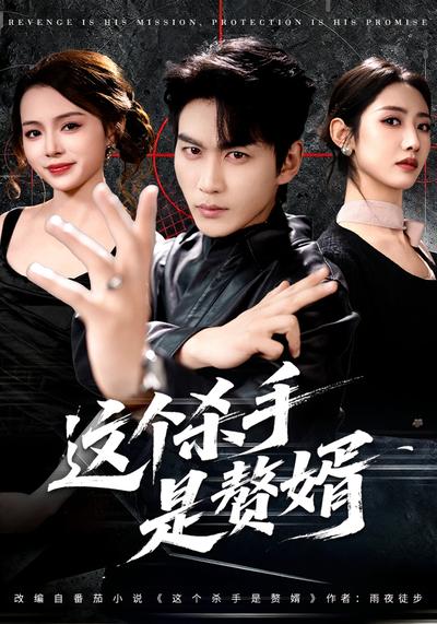 这个杀手是赘婿}