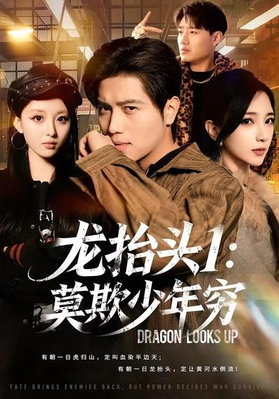 龙抬头1：莫欺少年穷}