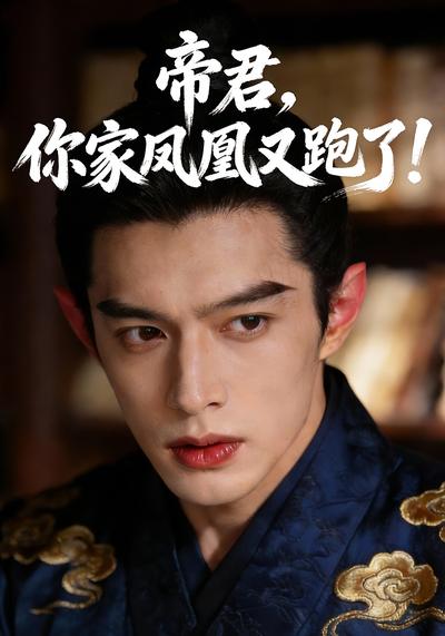 帝君，你家凤凰又跑了！}