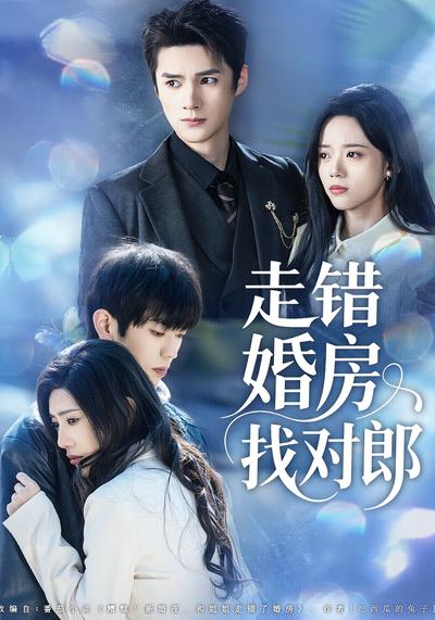 走错婚房找对郎}