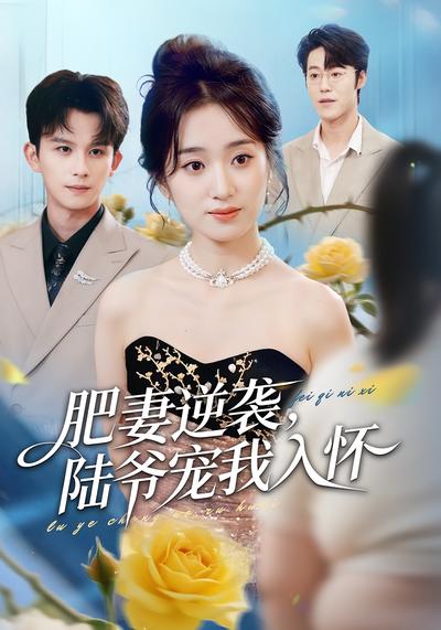 肥妻逆袭，陆爷宠我入怀}