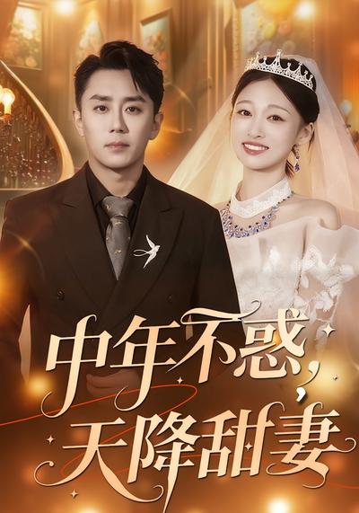 中年不惑，天降甜妻}