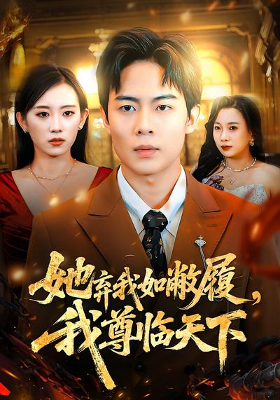 她弃我如敝履，我尊临天下}