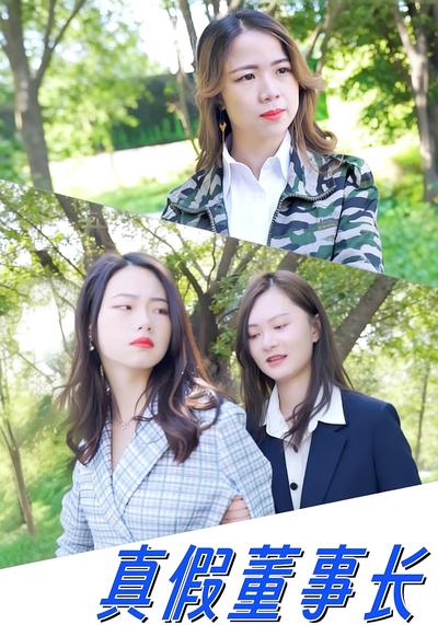 真假董事长}