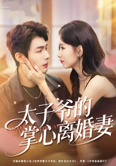 太子爷的掌心离婚妻}