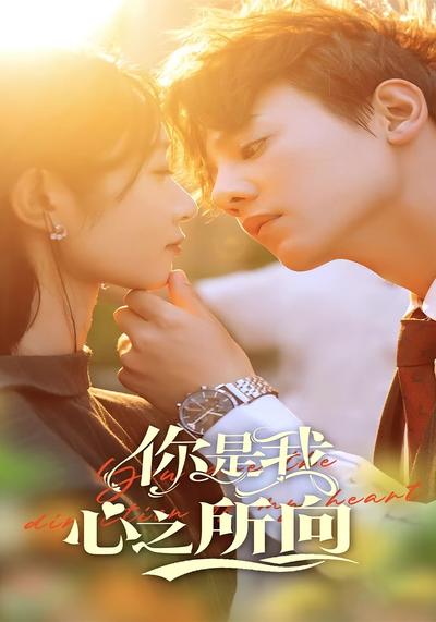 你是我心之所向}