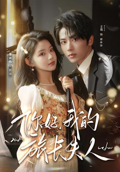 你好，我的旅长夫人}