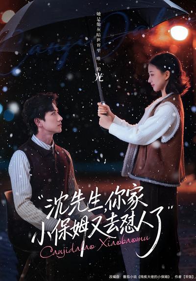 沈先生，你家小保姆又去怼人了}