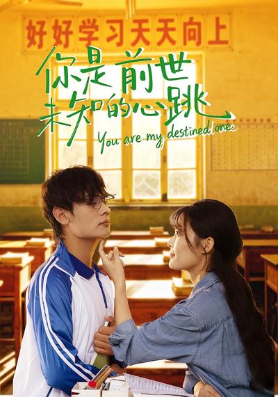 你是前世未知的心跳}