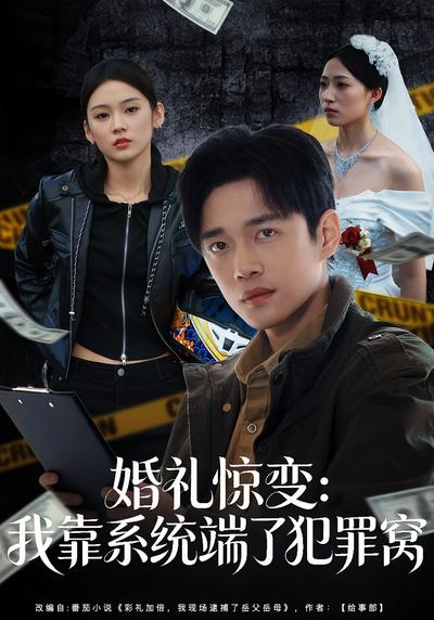 婚礼惊变：我靠系统端了犯罪窝}