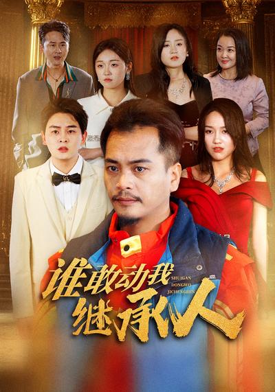 谁敢动我继承人}