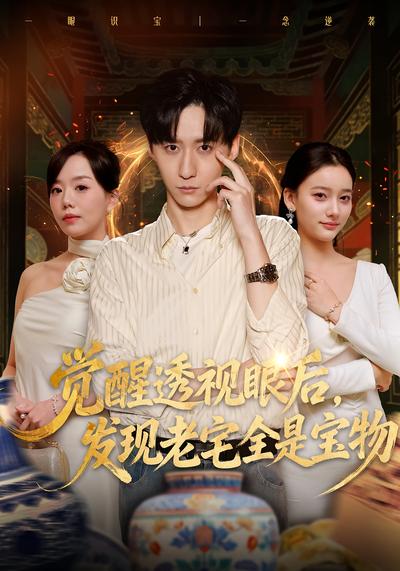 觉醒透视眼后，发觉老宅全是宝物}