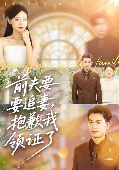 前夫要追妻，抱歉我领证了}