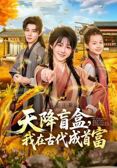 天降盲盒，我在古代成首富}