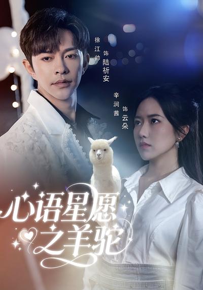 心语星愿之羊驼}