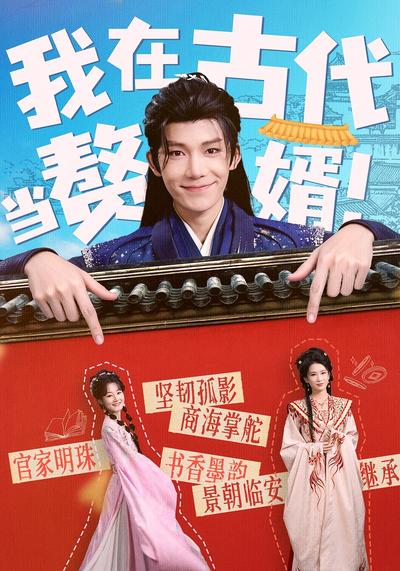 我在古代当赘婿}