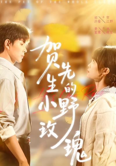 贺先生的小野玫瑰}