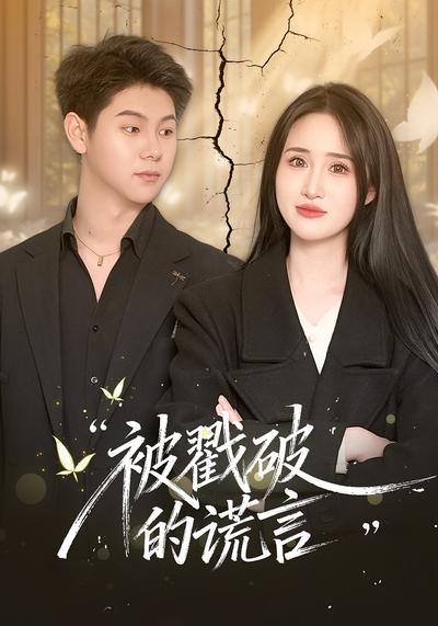 被戳破的谎言}