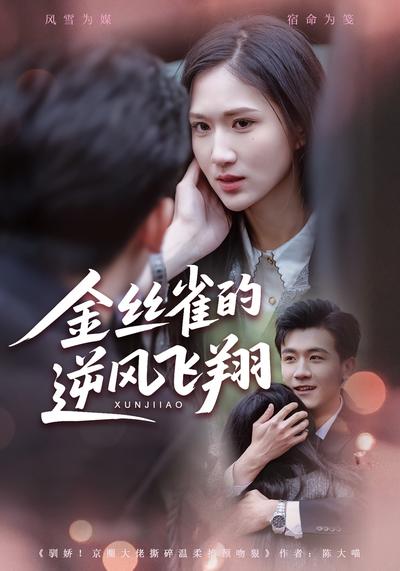 金丝雀的逆风飞翔}