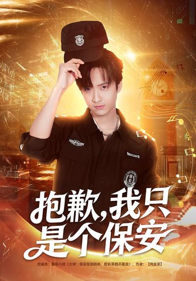 抱歉，我只是个保安}
