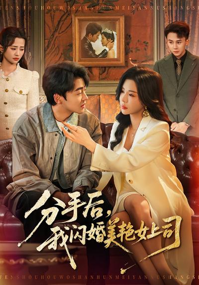 分手后，我闪婚美艳女上司}