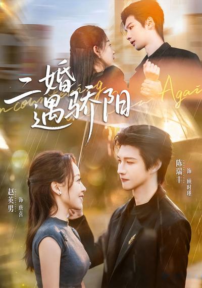 二婚遇骄阳}