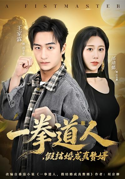 一拳道人，假结婚成真赘婿}